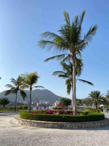Lovely studio apartment inside Jebel Sifah resort