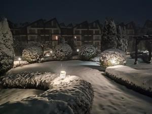 Апартамент-студио в Банско-Разлог,Aspen Golf- C206