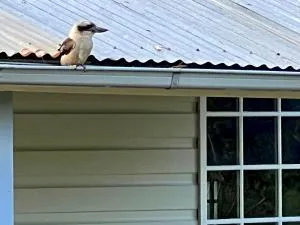 Hawkesbury Riverfront Cottage Homes - Marli - Spencer