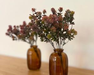 Gemütliche Wohnung Nähe Uni