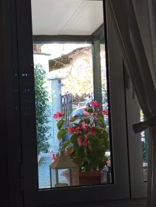 Stamoula s house