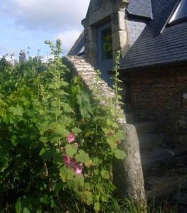 Maisons d'hotes La Grange de Coatelan : photos des chambres