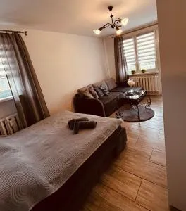 New Classic 30m. - Kaczory