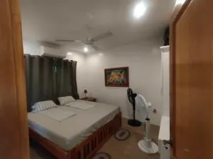 Johansen's Residence - Solangon