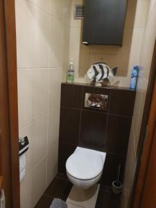 Apartament Daria