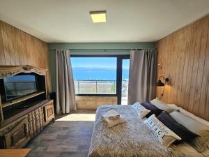 El Suizo II con vista al lago y Terraza