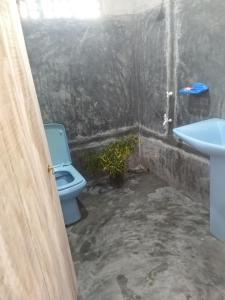 Thomasz House