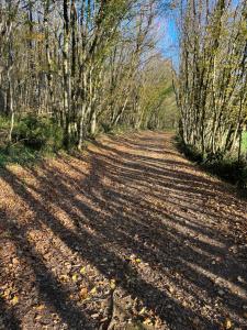 B&B / Chambres d'hotes La Ligonne : photos des chambres
