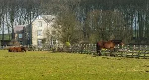 The Manor House - Flagg