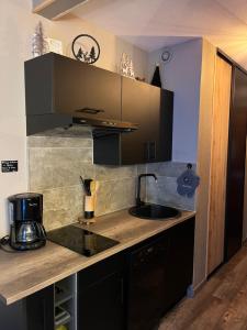 Charmant studio au pieds des remontées mécaniques.