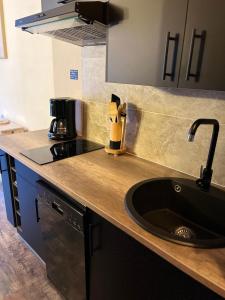 Charmant studio au pieds des remontées mécaniques.