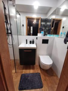 Apartament Leszczyńska 29 - cicho, blisko centrum, idealny na rower i narty