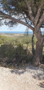 studio gruissan proche plage des chalets