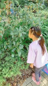 口福丸_Koufukumaru_はなれ_Hanare