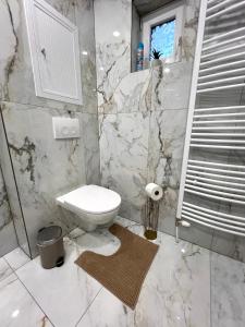 Apartment R&L Lazovná Apt 2 - city centre and free private parking