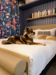 Hotels JOST Hotel Le Havre Centre Gare : photos des chambres