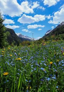 Maison Chez Les Roset