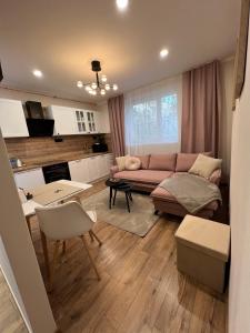 Apartment R&L Lazovná Apt 2 - city centre and free private parking