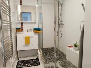 Appartements Studio bord de mer grand confort : photos des chambres