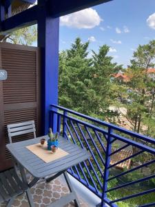 Appartements Studio bord de mer grand confort : photos des chambres