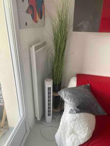 Appartements Studio bord de mer grand confort : photos des chambres