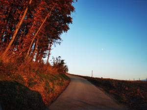 Hiška sončni hrib.