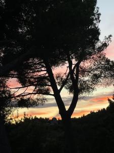 B&B / Chambres d'hotes Le Mas Angelou : photos des chambres