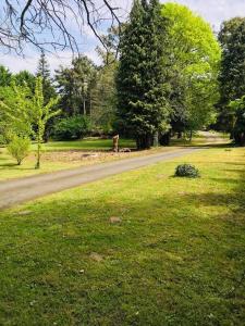 L’Appar(T) du Grand Bois - Jacuzzi -