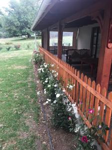 Hogsback Misty Oaks Cottage