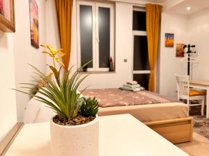 Private Studio Center Opera and Nevski Cathedral