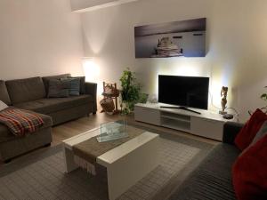 Rovaniemi city Apartment