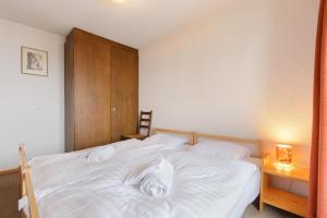 Nevada 205 4 pax centrally lain apartment with garage