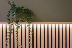 Japandi-Inspired Apt in the Heart of Oxford