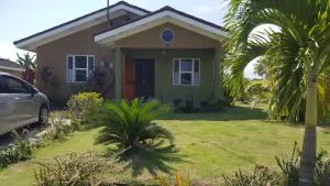 Robyn's Promise - Steer Town