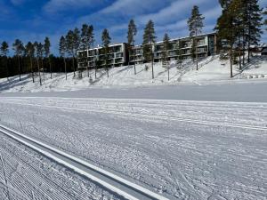 Vuokatti Chalets Aarni