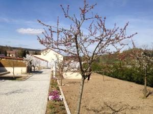 Appartements Gites Des Sablons : photos des chambres