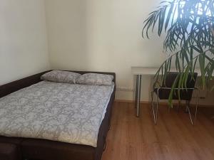 Spacious Apartment Panemune