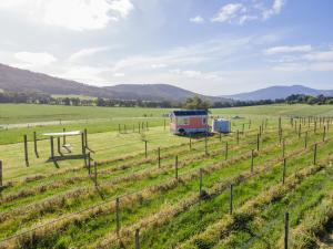 Warburton Tiny House - Tiny Stays