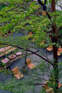 TỊNH Retreat Phu Quoc