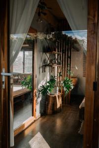 TỊNH Retreat Phu Quoc