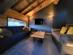 The Loft - unique apartment, NR MORZINE