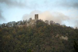 Wohlfühlwohnung nähe des Rheins