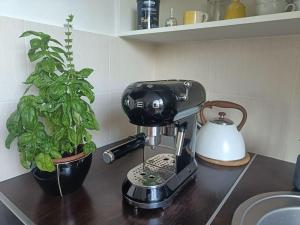 River Vilnele View Studio