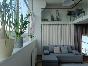 River Vilnele View Studio