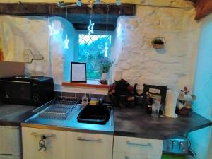 Yr Hen Efail - Quirky Old Smithy cottage near forest walks, cycling & lakes