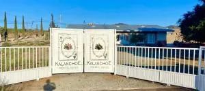 Kalanchoe Poshtel Suites - Las Palmas