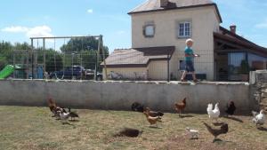 Maisons de vacances Gite Du Colombier : photos des chambres