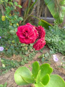 VillaVin at 47 Galpin