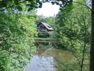 Ferienwohnungen Seeblick