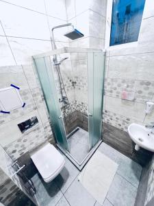 Lviv apartments "SVit home"